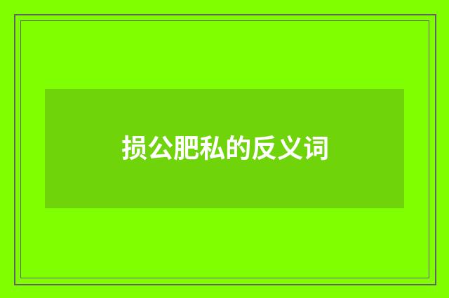 损公肥私的反义词