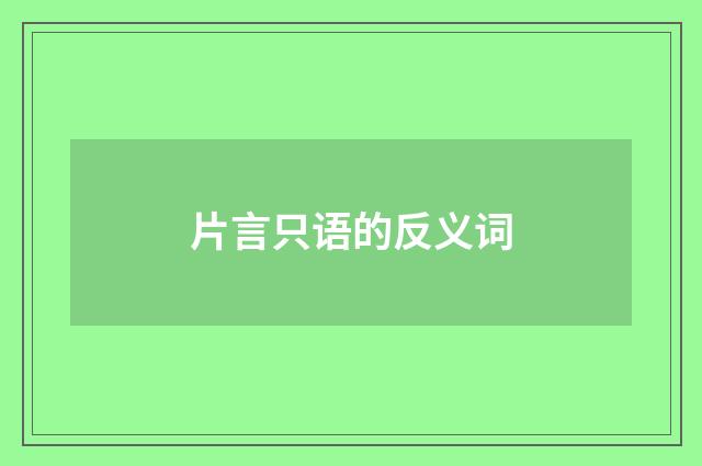 片言只语的反义词
