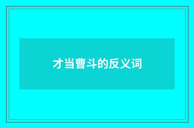 才当曹斗的反义词