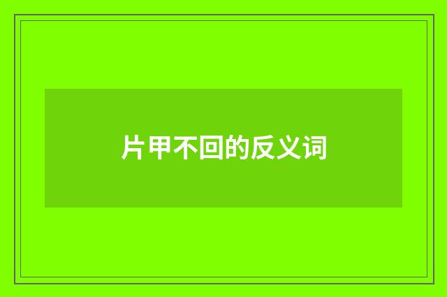 片甲不回的反义词