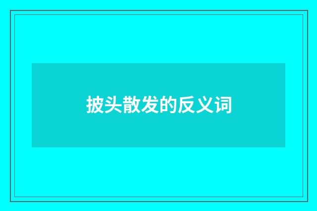 披头散发的反义词