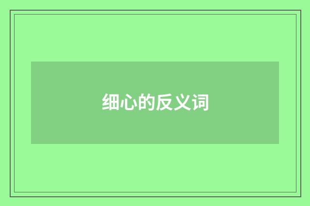 细心的反义词