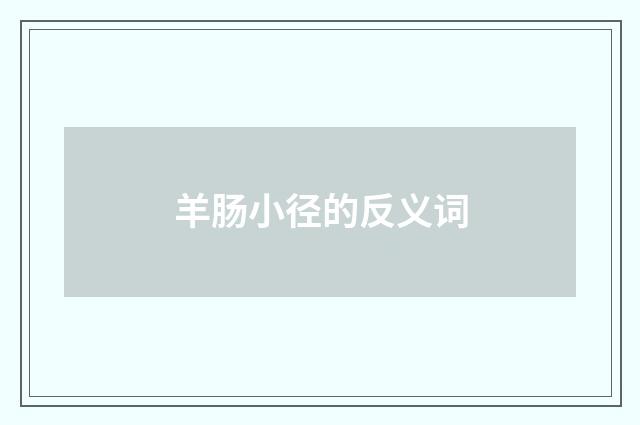 羊肠小径的反义词