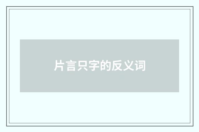 片言只字的反义词