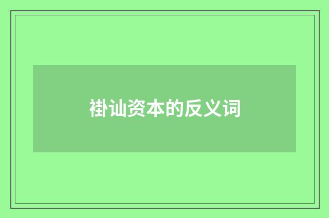 褂讪资本的反义词