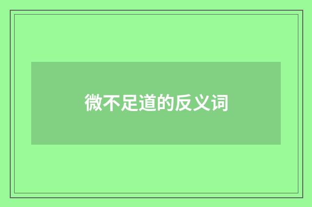 微不足道的反义词