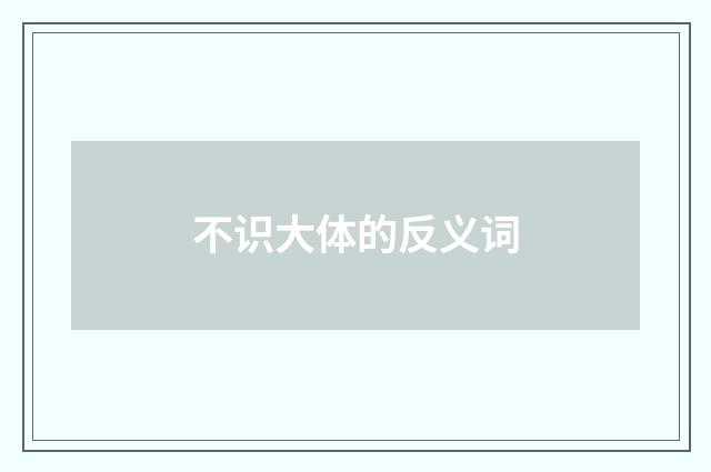 不识大体的反义词