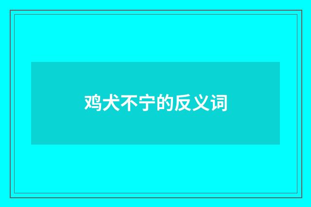 鸡犬不宁的反义词