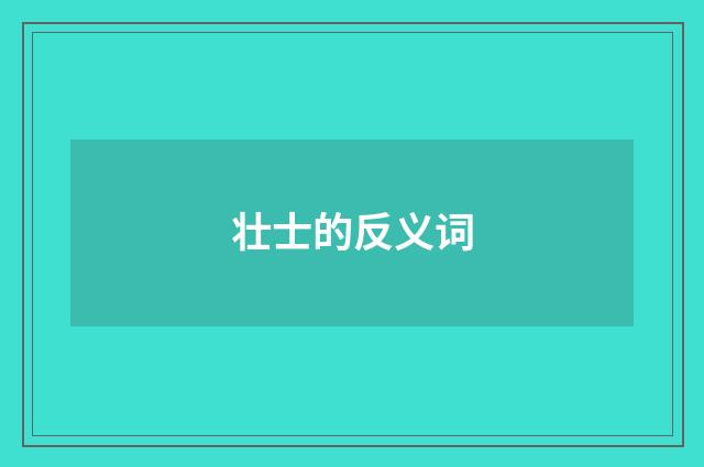 壮士的反义词