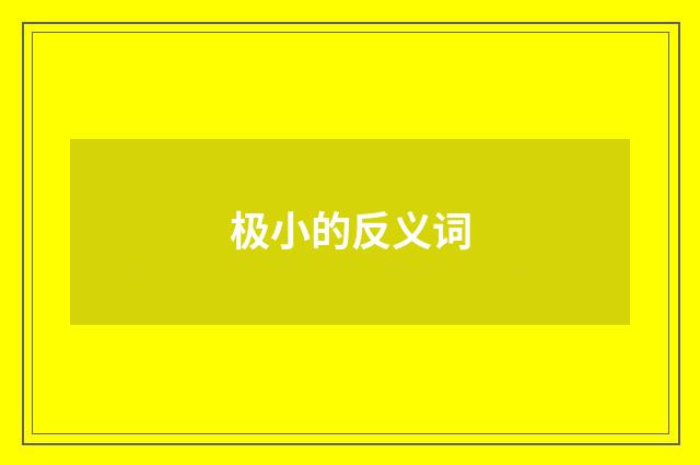 极小的反义词