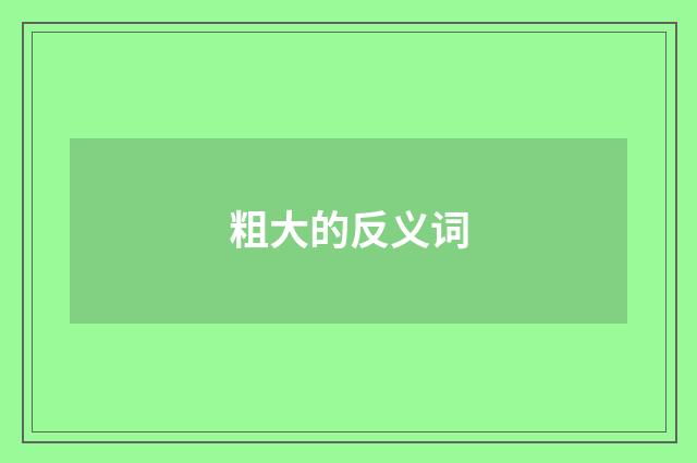 粗大的反义词