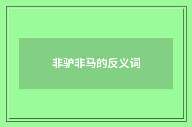 非驴非马的反义词