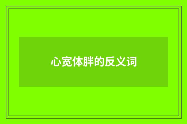 心宽体胖的反义词