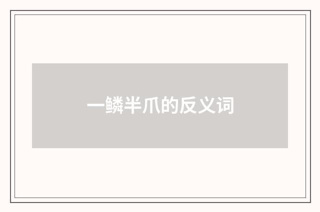 一鳞半爪的反义词