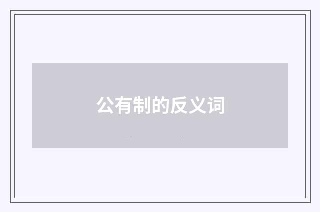 公有制的反义词