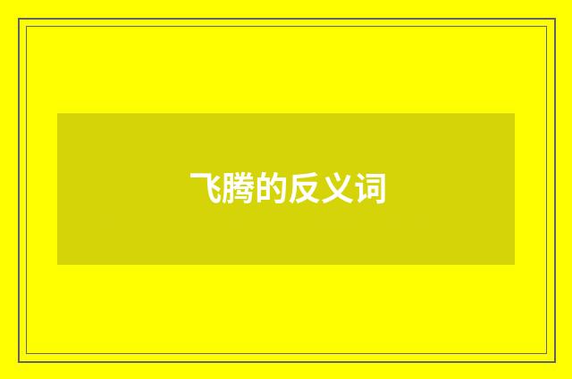 飞腾的反义词