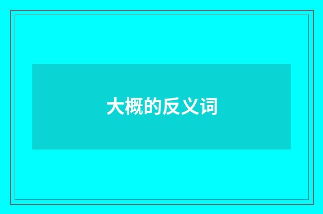 大概的反义词