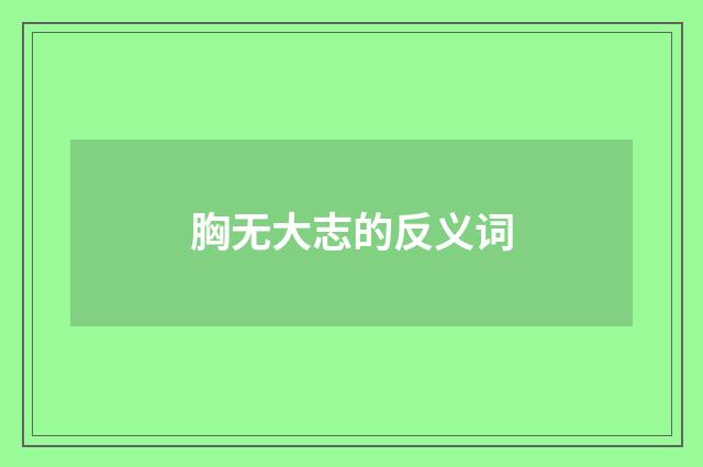胸无大志的反义词