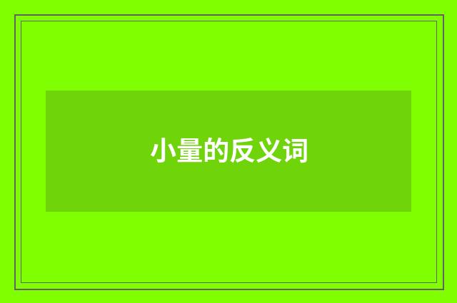 小量的反义词