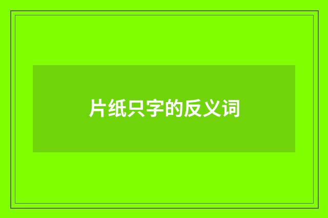 片纸只字的反义词