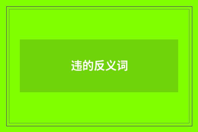 违的反义词