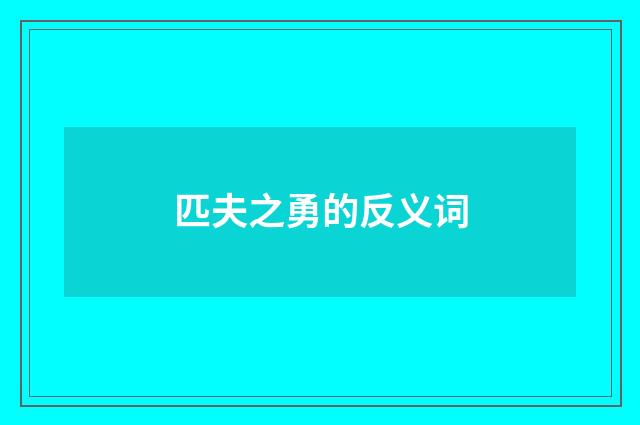 匹夫之勇的反义词