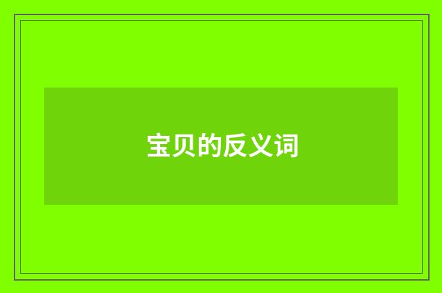 宝贝的反义词