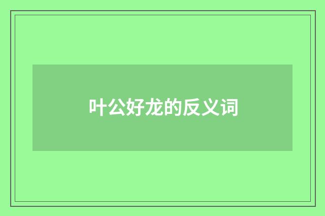 叶公好龙的反义词