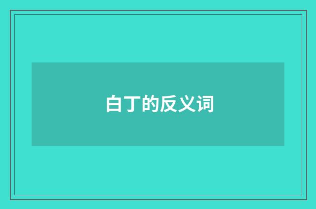 白丁的反义词