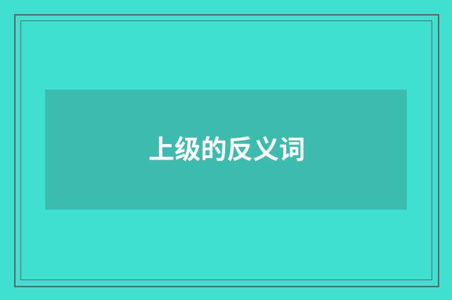 上级的反义词
