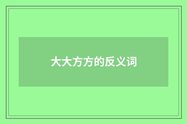 大大方方的反义词