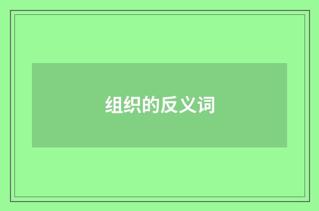 组织的反义词