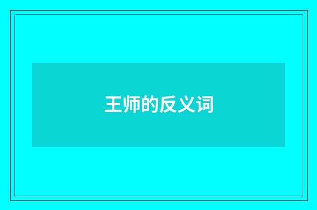 王师的反义词