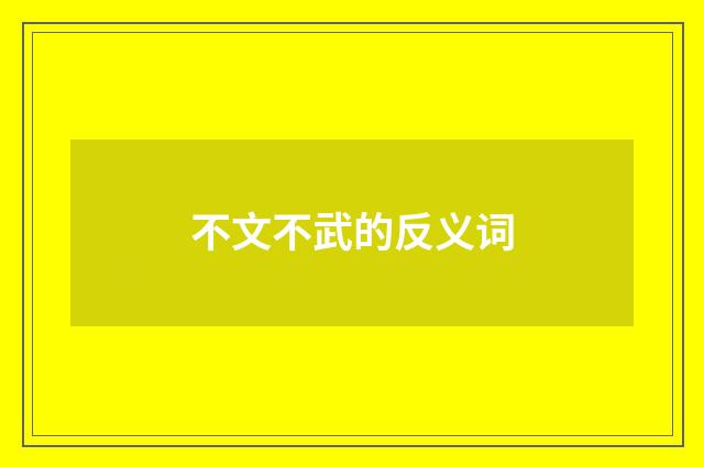 不文不武的反义词
