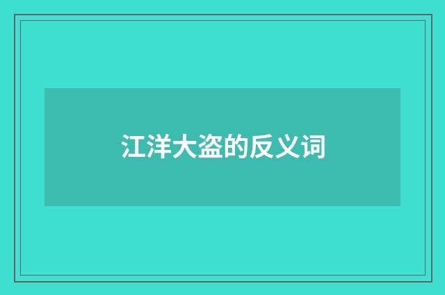 江洋大盗的反义词