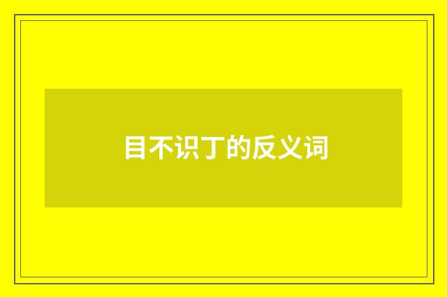 目不识丁的反义词