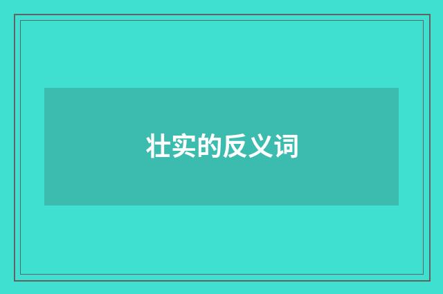 壮实的反义词