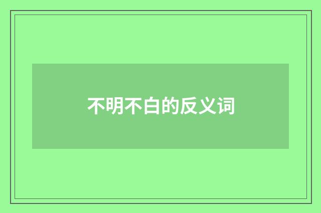 不明不白的反义词