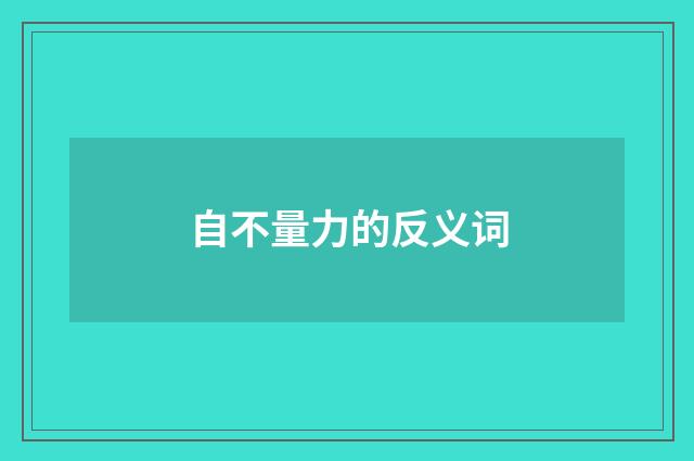 自不量力的反义词