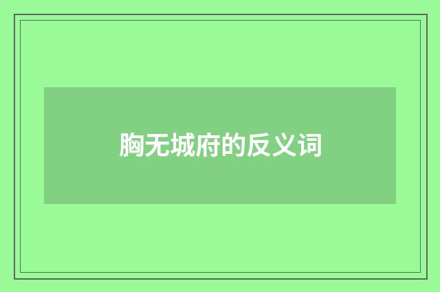 胸无城府的反义词