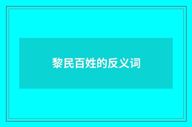 黎民百姓的反义词