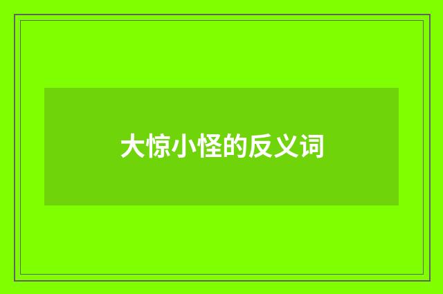 大惊小怪的反义词