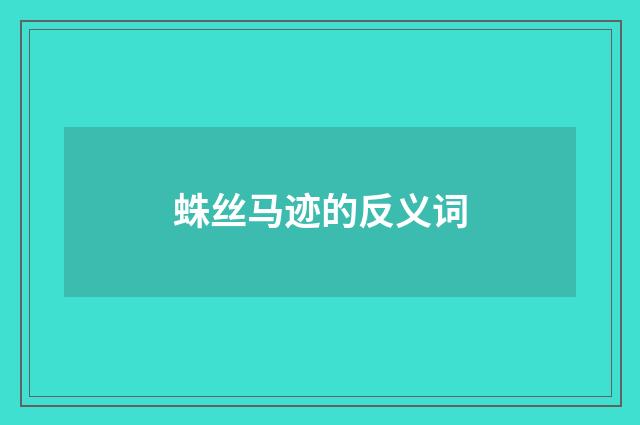 蛛丝马迹的反义词