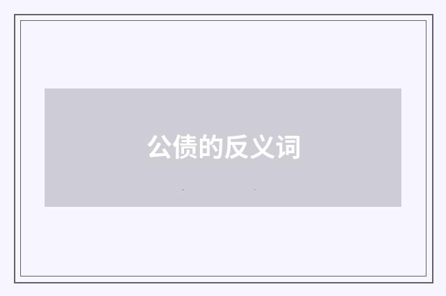 公债的反义词