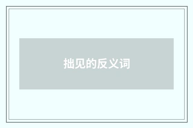拙见的反义词