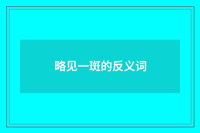 略见一斑的反义词