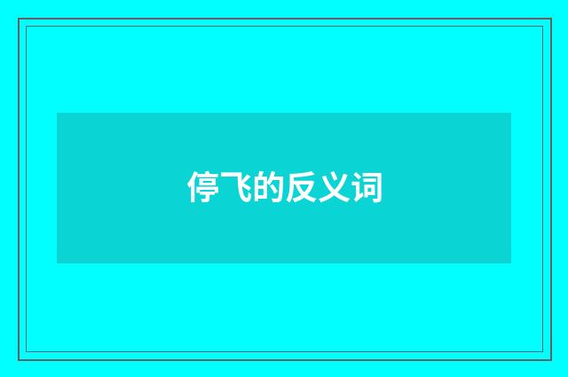 停飞的反义词