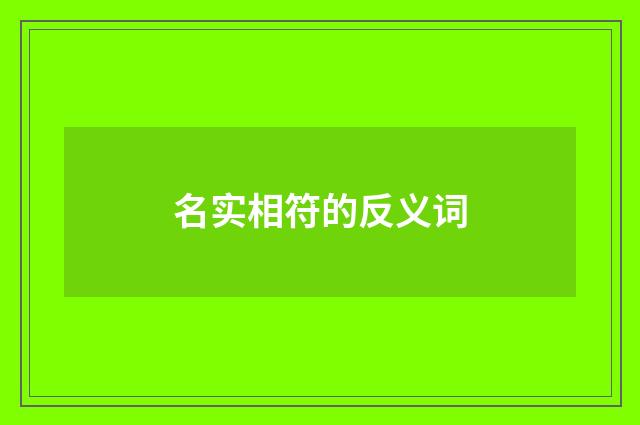 名实相符的反义词