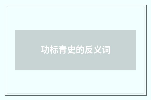 功标青史的反义词