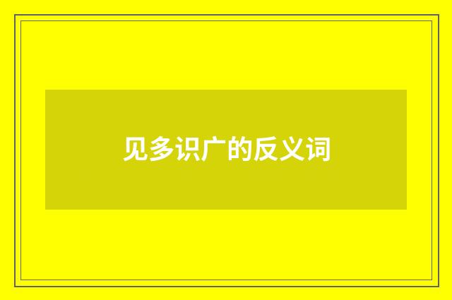 见多识广的反义词